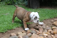 013.webp