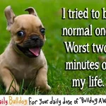 397753_311106005675740_1525390146_n.webp