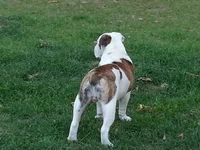 20130416_194706_zps04509486.webp