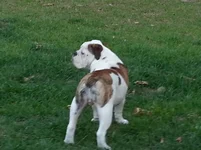 20130416_194717_zps0c0618d2.webp