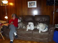 couch 010.webp