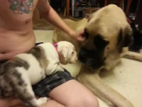20130418_223141.webp