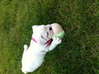 IMG_1401.jpg IMG_1401.jpg