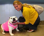 beth-dog-inline.webp