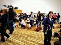 bully-bash-4-20-13-03.jpg bully-bash-4-20-13-03.jpg