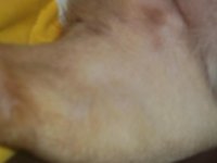CHLOE_SKIN_02.jpg CHLOE_SKIN_02.jpg
