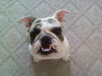 Hello - Ruthie.webp