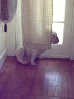 IMG_3991.webp
