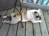 IMG_0004.jpg IMG_0004.jpg