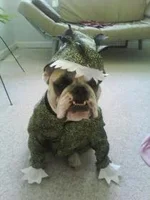 Ruthie Halloween.webp