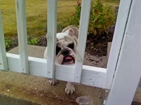 Ruthie sad.webp
