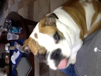 image.webp