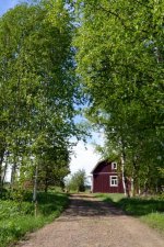 DSC_0577.jpg DSC_0577.jpg