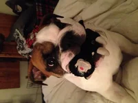 image.webp