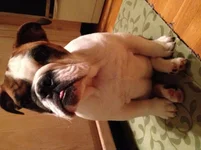image.webp