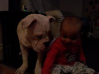 20130216_185458.jpg 20130216_185458.jpg