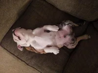 20130214_190811(1).webp