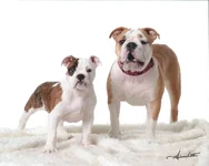 Scan0005.webp