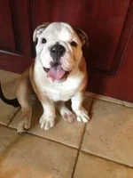 Mayhem-6-26-13-16-Weeks-2.webp Mayhem-6-26-13-16-Weeks-2.webp