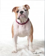 Scan0007.jpg Scan0007.jpg