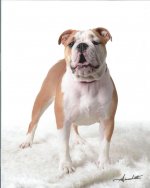 Scan0011.jpg Scan0011.jpg