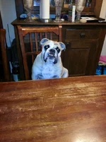 20130625_174917.webp
