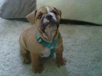 ImageUploadedByTapatalk1361410411.609316.webp ImageUploadedByTapatalk1361410411.609316.webp