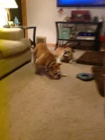 IMG_0674.webp IMG_0674.webp