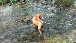 2012-05-12_16-16-07_100.webp