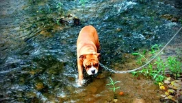 2012-05-12_16-16-16_878-1.webp