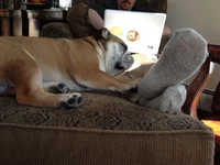 sleepy.webp