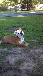 2013-04-12_18-11-57_960.webp