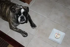 First birthday.webp