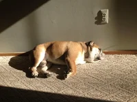 sleepy2.webp