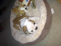 IMG_0507.jpg IMG_0507.jpg
