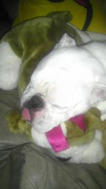 Me n' my Stuffie Bullie