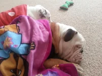 20130302_104812.webp