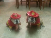 20121031_213712.webp
