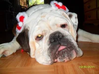 SAM_2050.webp