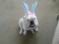 20130331_135729.webp