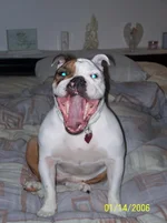 100_1080.webp