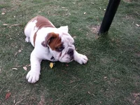 IMG_20130427_182228.webp