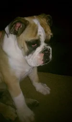 kirbystinkeye.webp