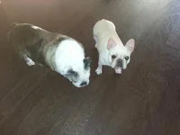 Hazel & BeBe.webp Hazel & BeBe.webp