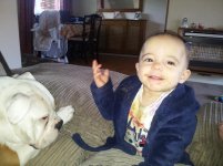 20130427_082325.jpg 20130427_082325.jpg