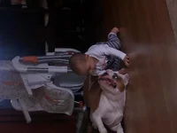 20130424_141532.webp