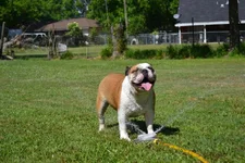 DSC_0284.webp