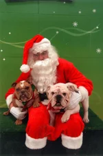 Santa Pic - Stig & Punks.webp
