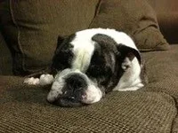tyson.webp