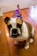 Ellie Mae 2.jpg Ellie Mae 2.jpg